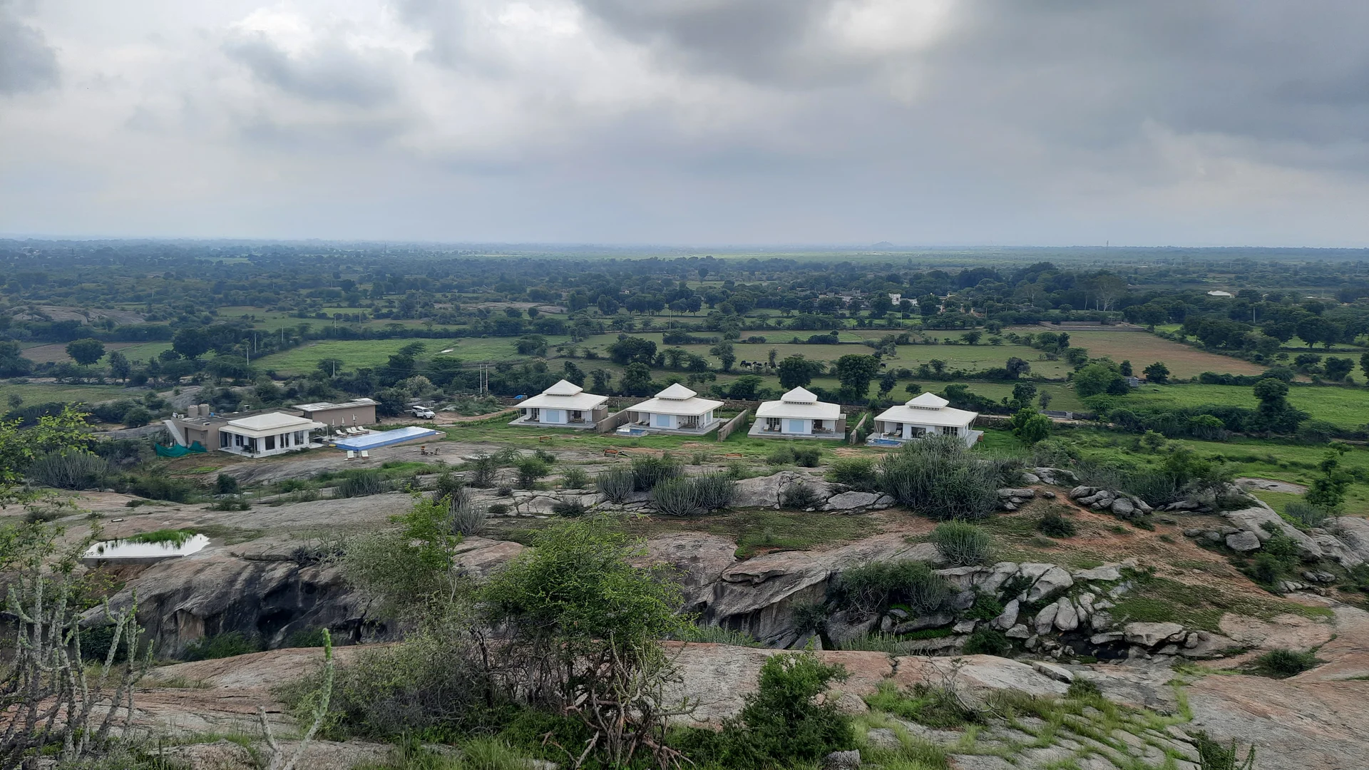 brij_pola