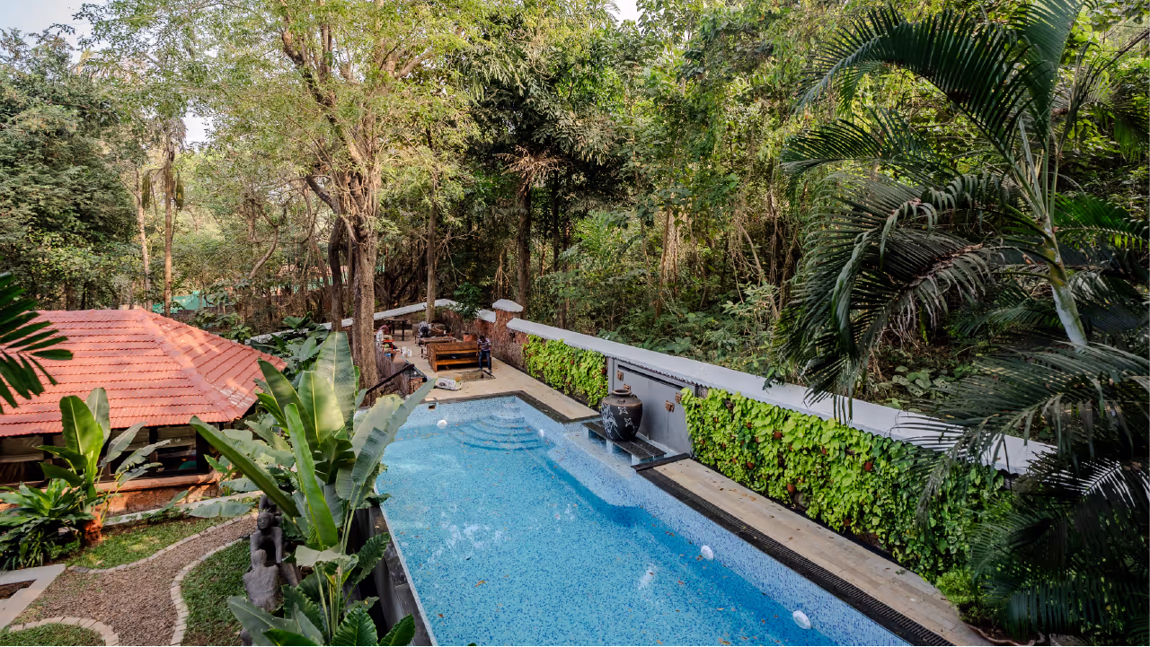 brij_paraiso