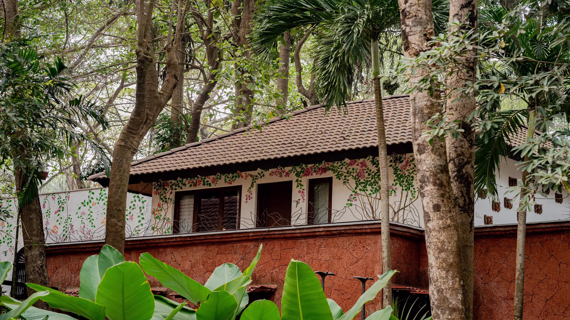 brij_paraiso