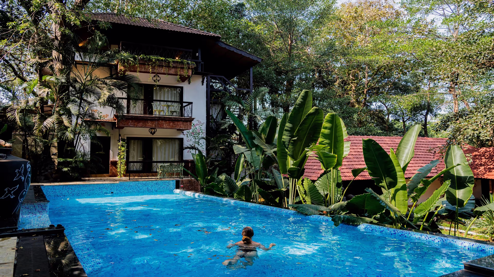 brij_paraiso