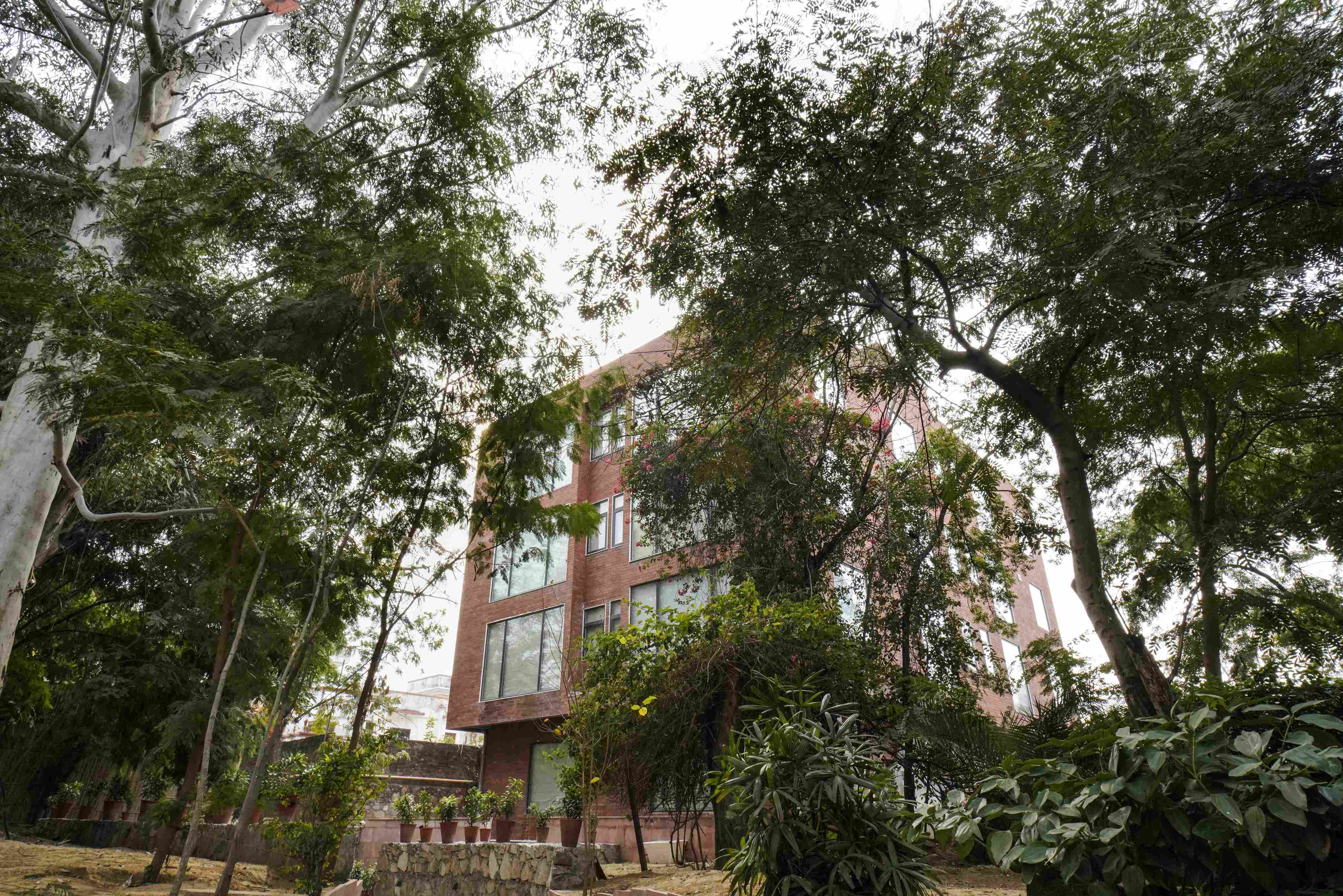 Brij Nest