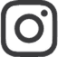 section icon