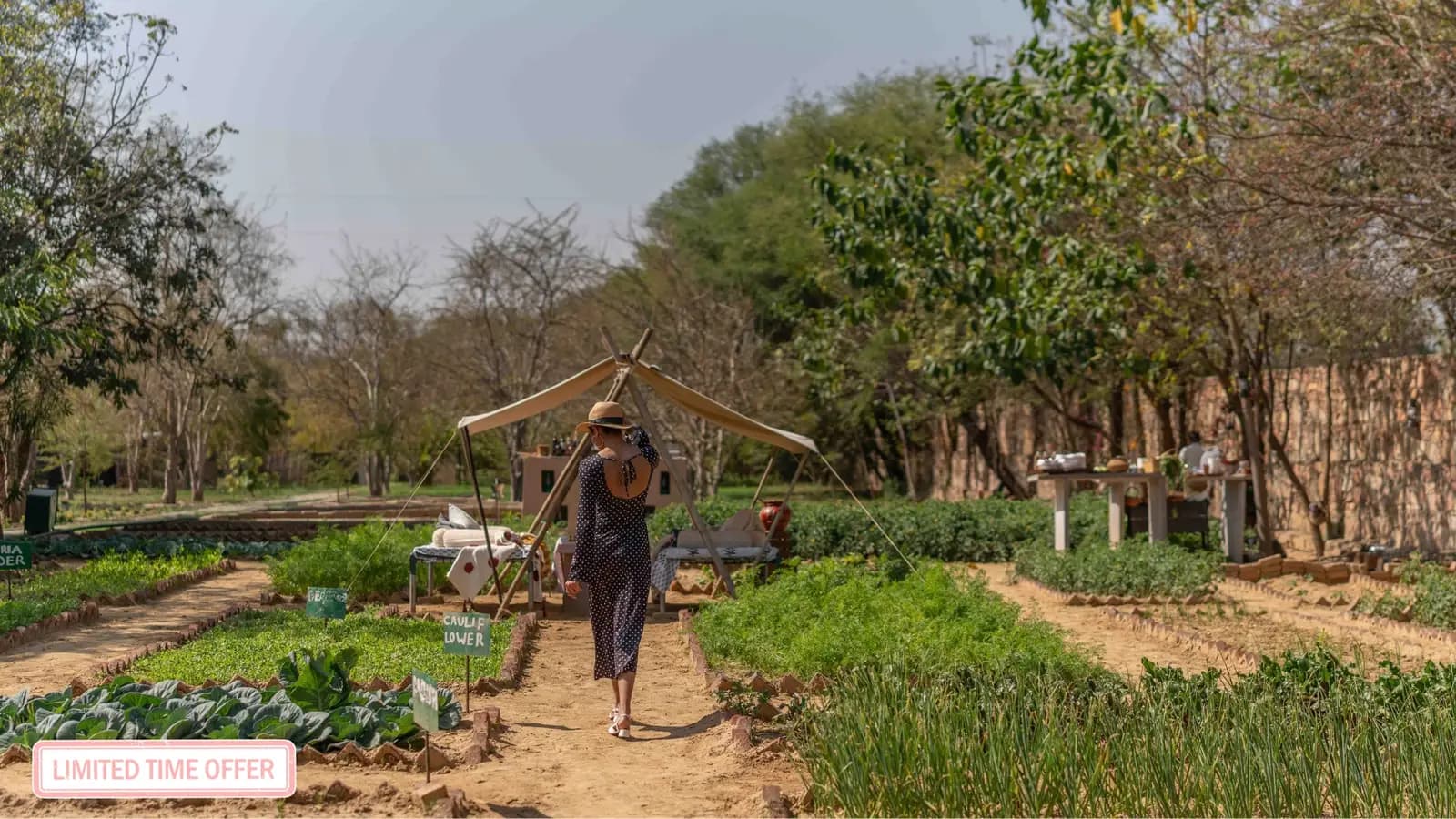 Guest walking through the kitchen garden at Brij Bageecha, Kukas, Jaipur