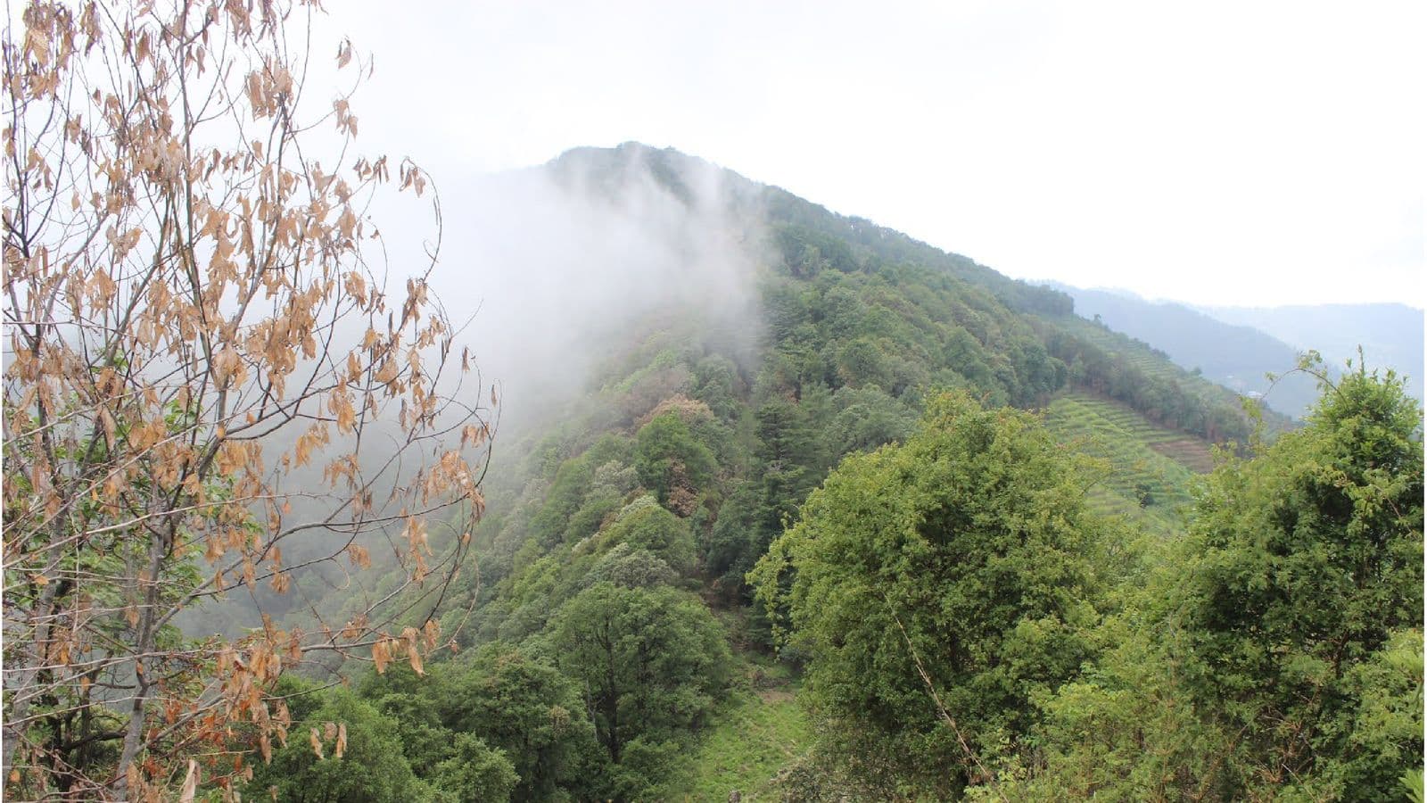 Mahesh Khan Hike