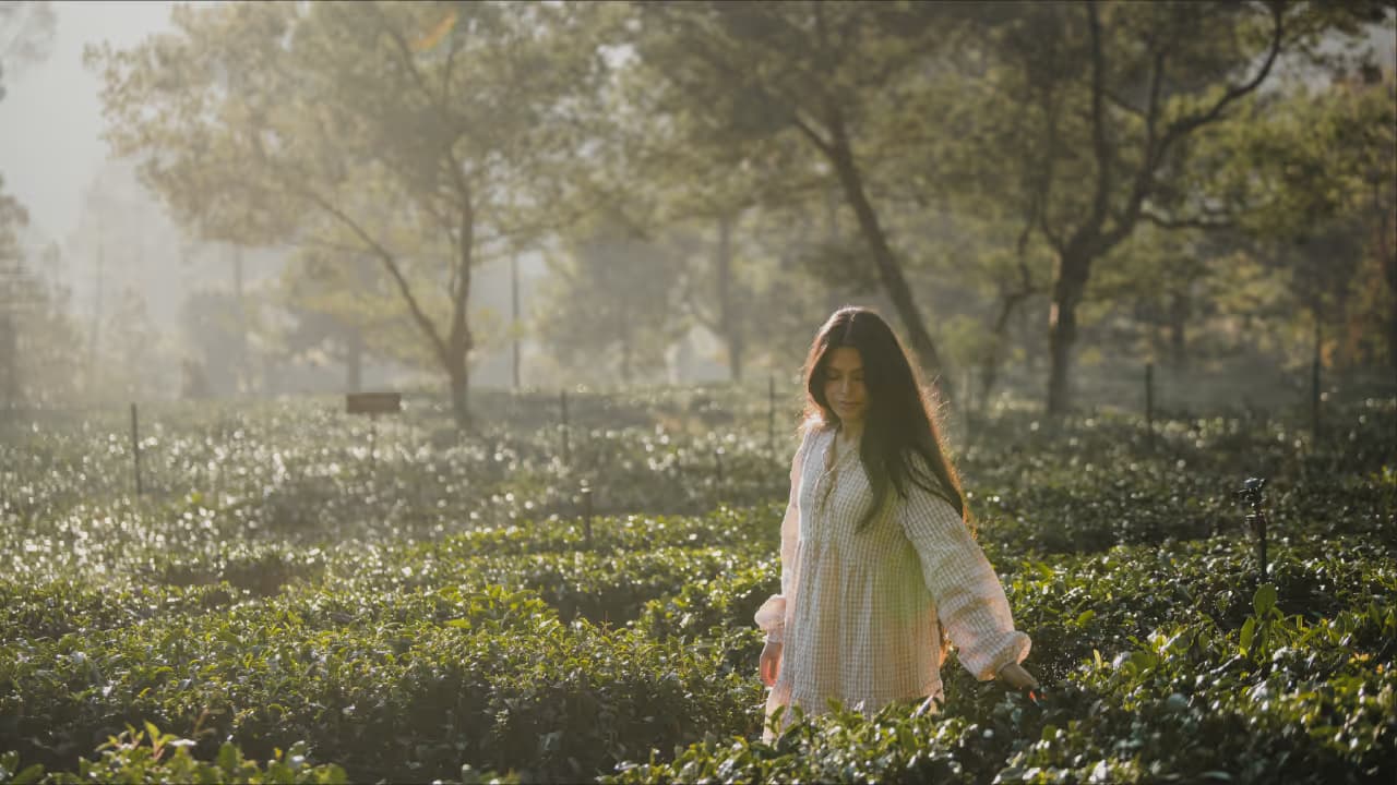 Tea Garden Visit