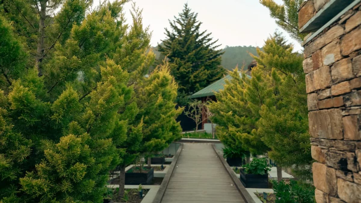 The Adventure Wellness Escape