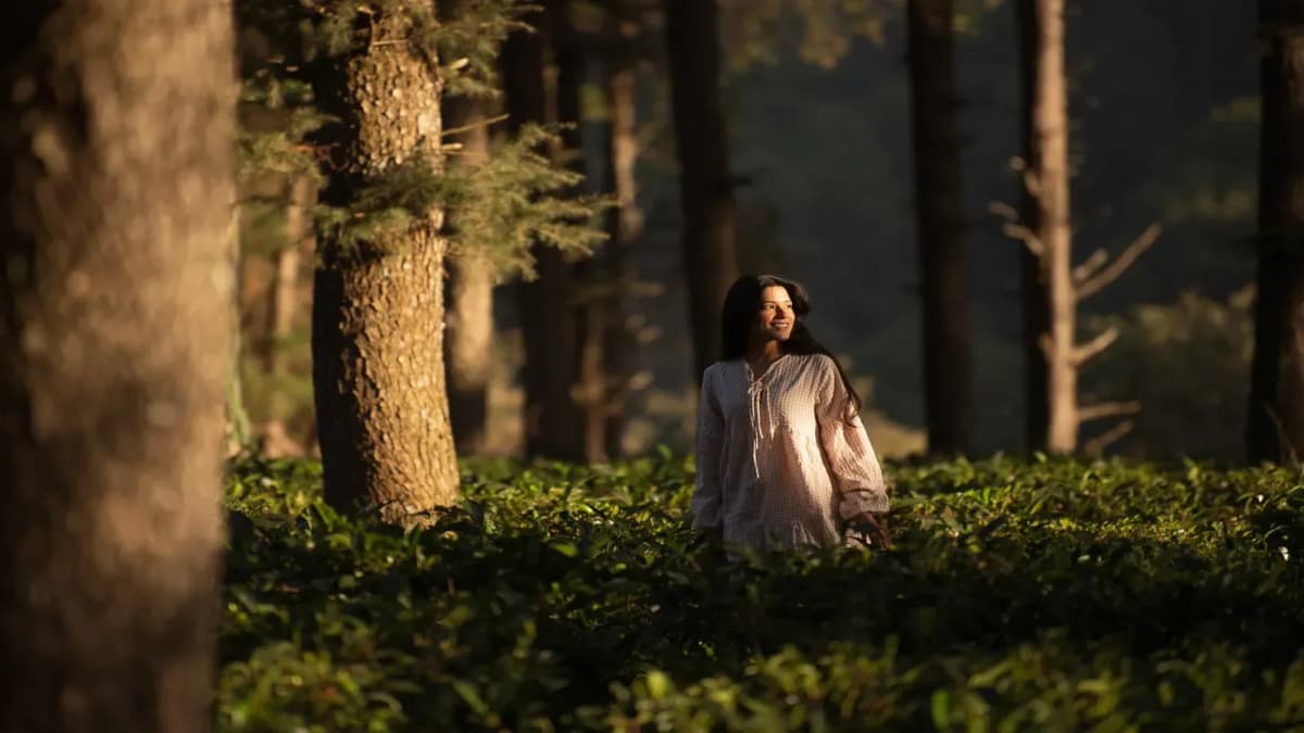 Into the Wild