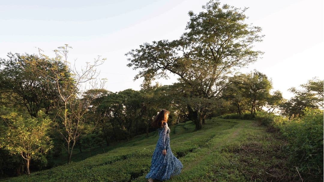 Tea Garden Walk