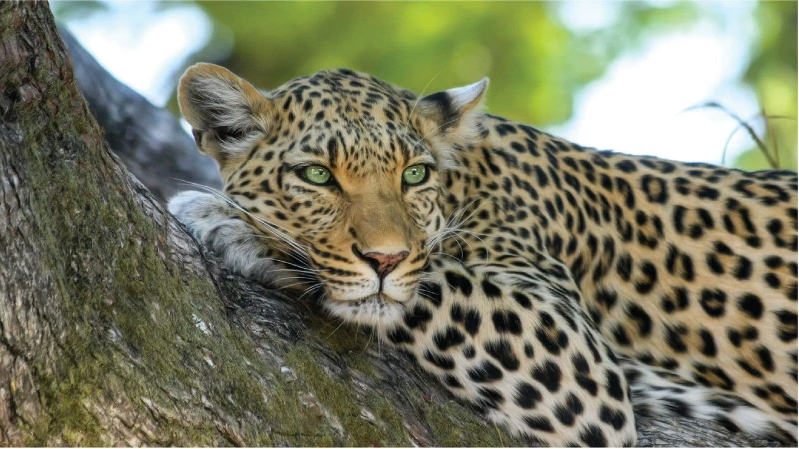 Kalatop Wildlife Reserve