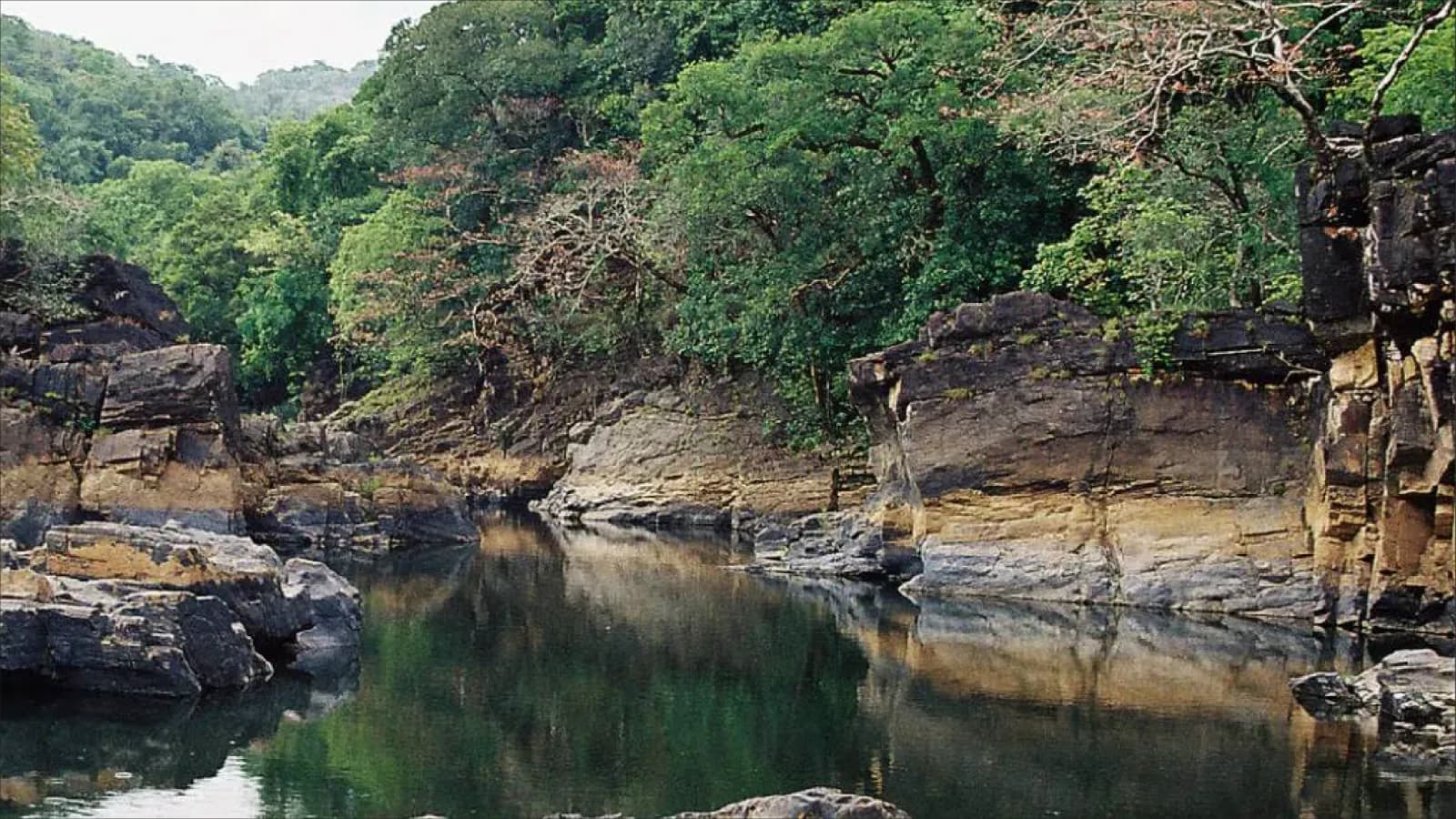 Cotigao Wildlife Sanctuary Cotigao Wildlife Sanctuary