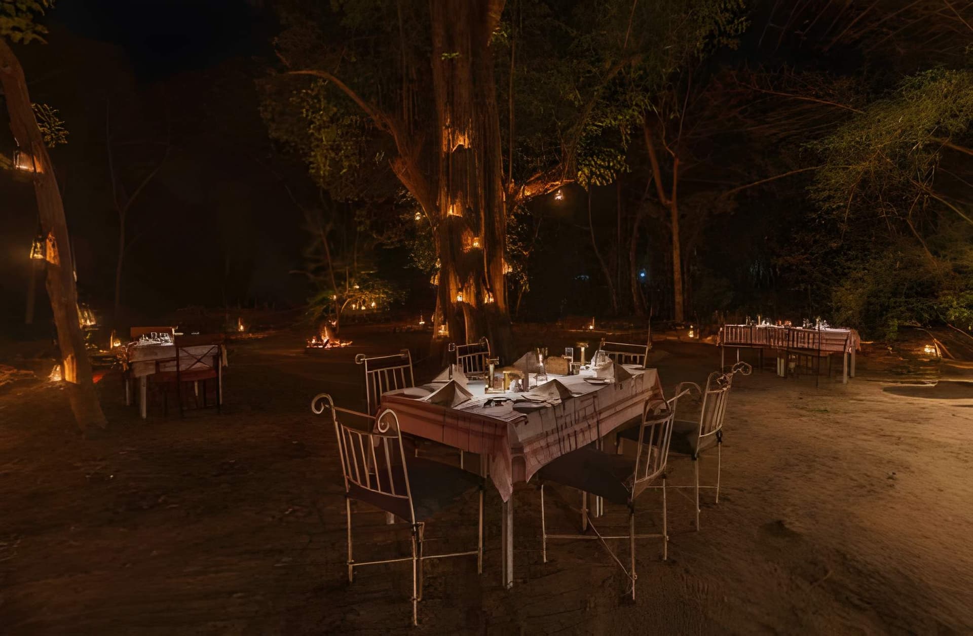 Bush Dining – A Wilderness Culinary Experience Bush Dining – A Wilderness Culinary Experience