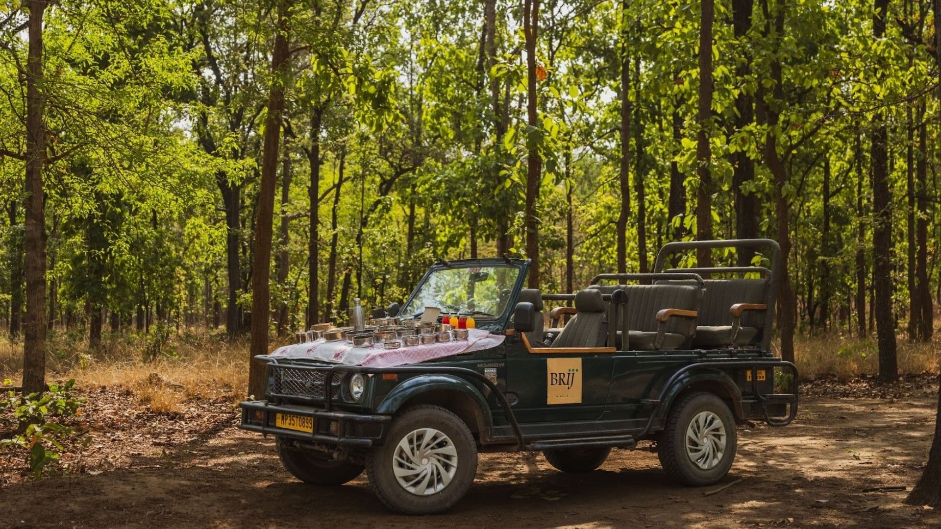 Jungle High Tea in the Jeep Jungle High Tea in the Jeep
