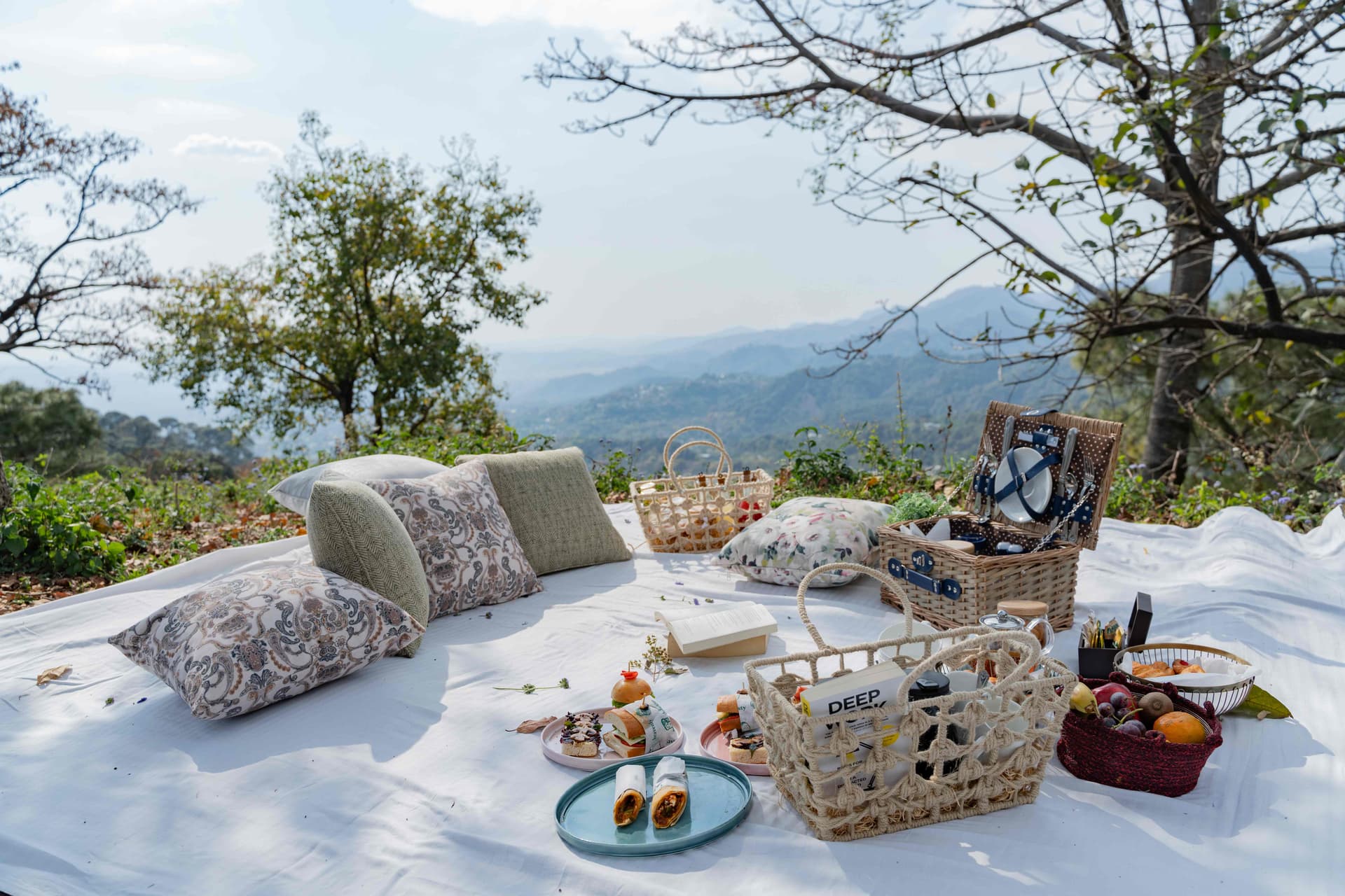 Picnic Lunch Picnic Lunch