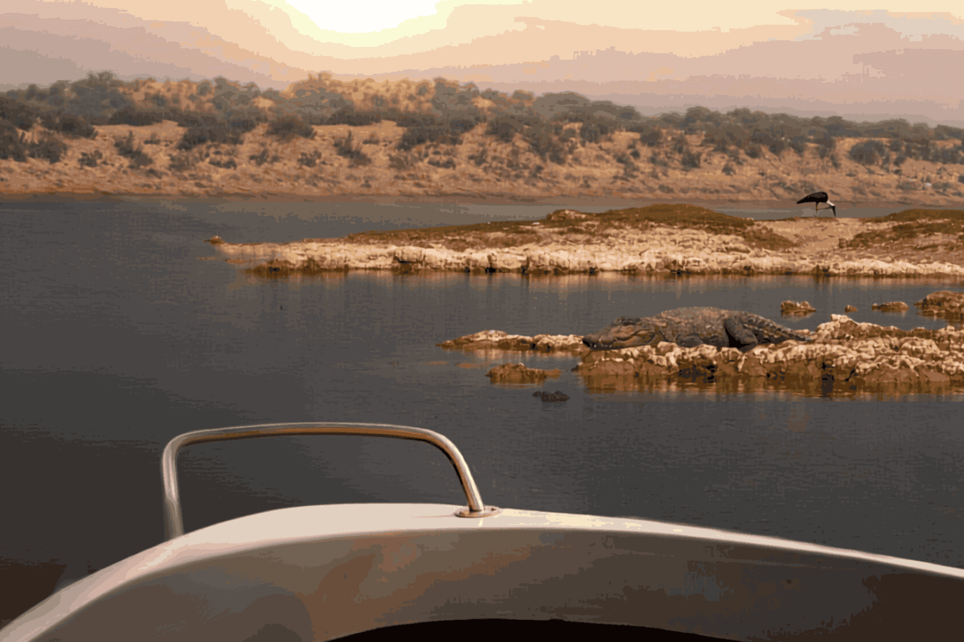 Chambal Crocodile Safari & River Cruise Chambal Crocodile Safari & River Cruise
